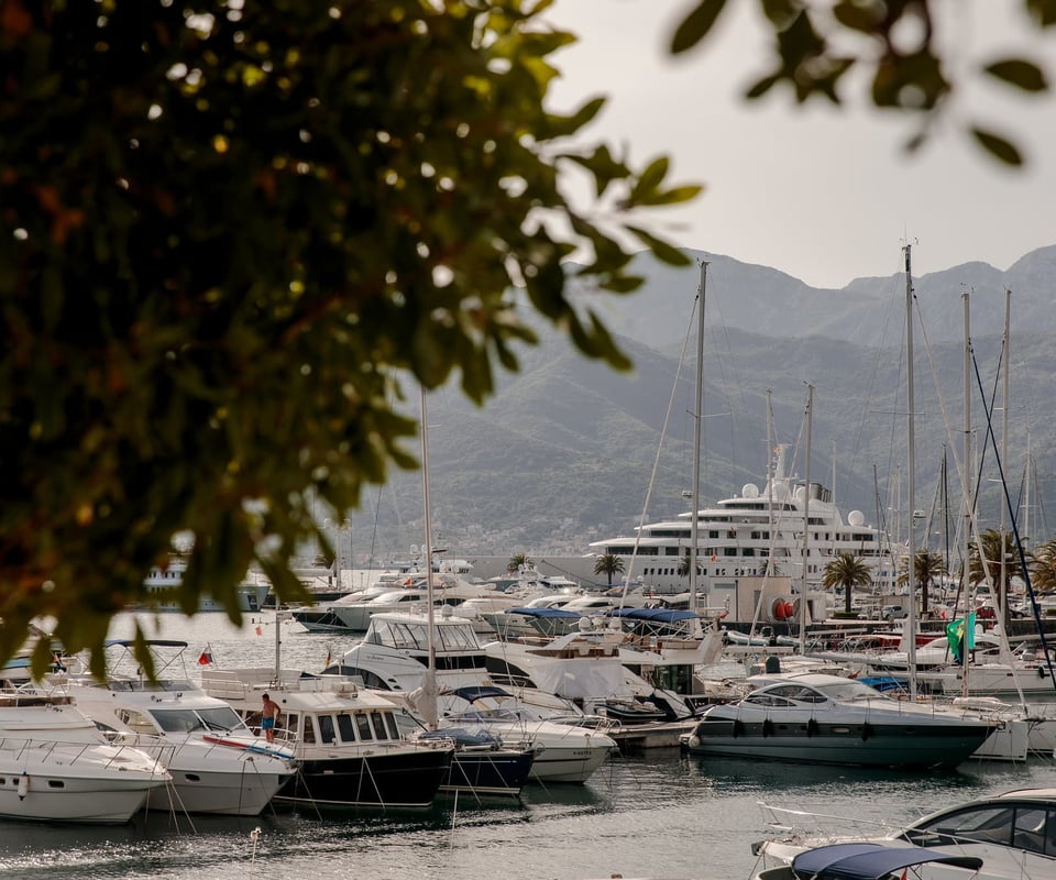A serene marina scene comes to life with an array of moored yachts and boats, set against the soft silhouette of distant mountains, all subtly framed by the natural greenery in the foreground.