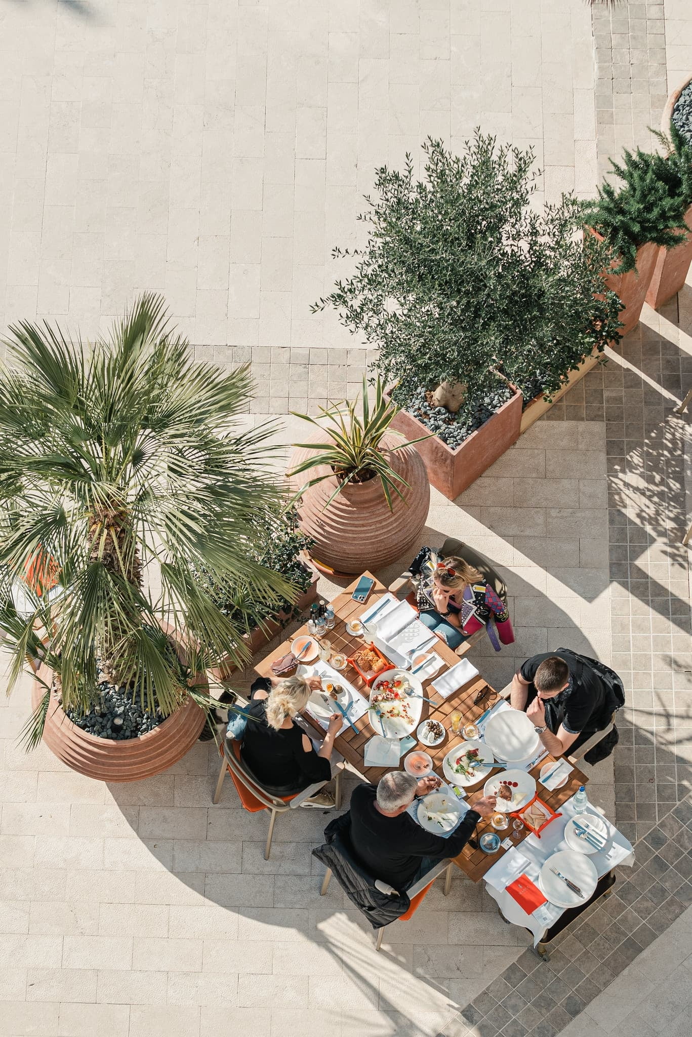 People dining outdoors at a sunlit table surrounded by large potted plants, enjoying a meal in a relaxed and pleasant atmosphere.