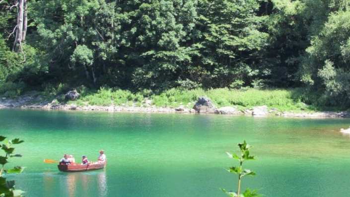 View of Biogradsko Lake surrounded by dense, towering trees in Biogradska Gora National Park, creating a peaceful and biodiverse natural environment.