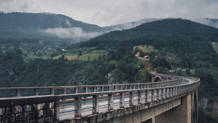 Bridge and forest