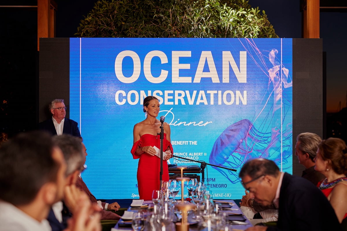 opening charity ceremony