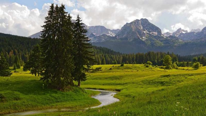 A scenic view of a mountain stream flowing through a lush green valley in Montenegro, surrounded by rugged mountains and rich forested landscapes.