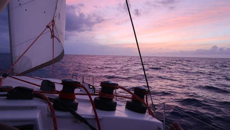 Sailing pink sky