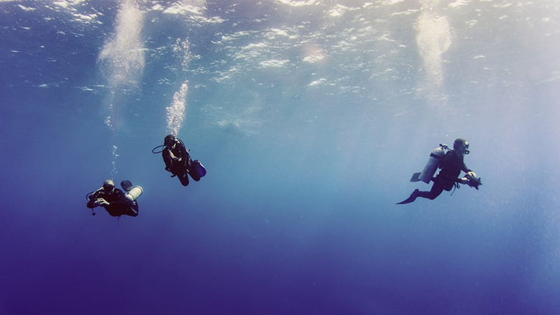 scuba divers underwater