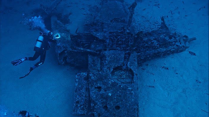 scuba diver under the sea