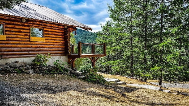 Wooden house and forest