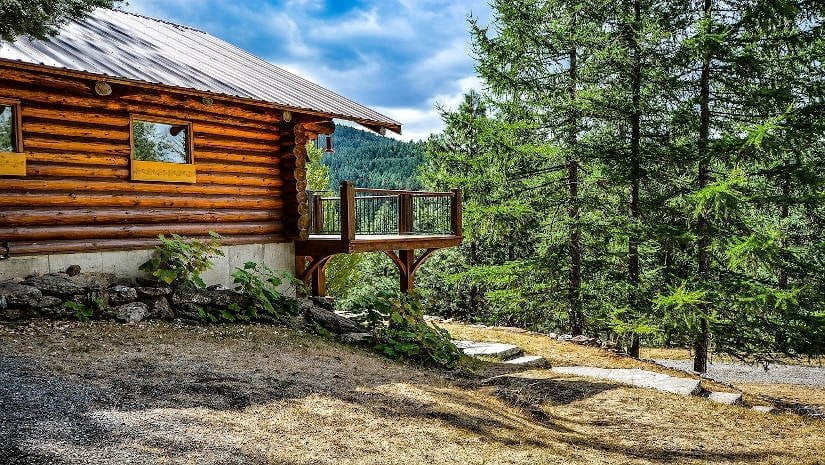 Wooden house and forest