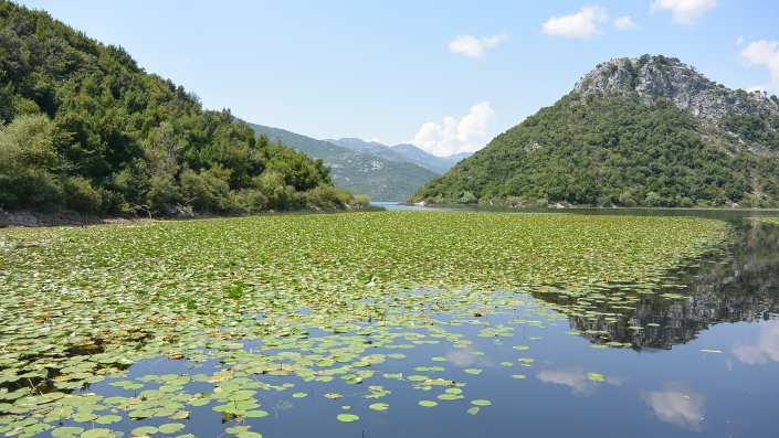 A peaceful view of Skadar Lake, surrounded by lush greenery and distant mountains, offering a tranquil natural environment in Montenegro.