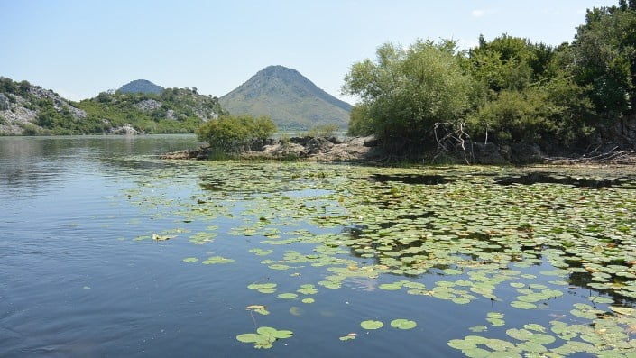 Lake
