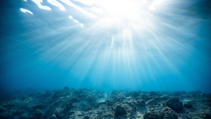 Sunlight sea