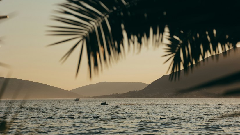 A beach in Tivat with pines and hills.