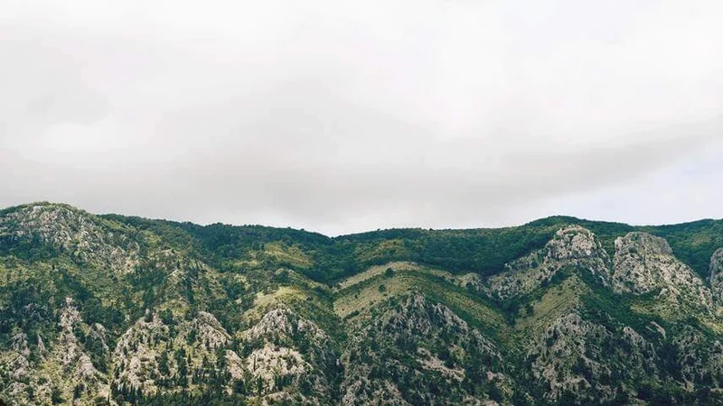 Rugged, verdant mountains under an overcast sky, illustrating the natural, untouched landscape.