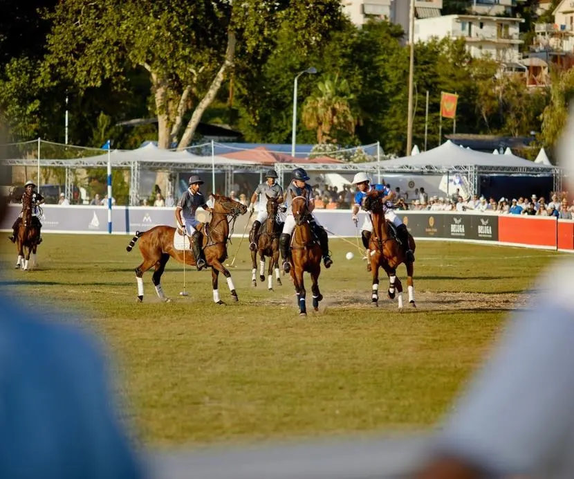 A lively polo match with players on horseback competing for the ball, surrounded by spectators and trees under clear skies.