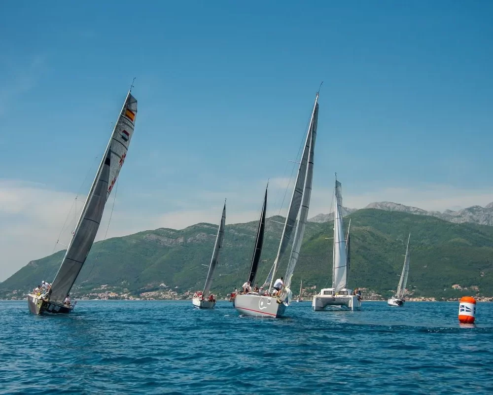 A thrilling regatta at Porto Montenegro, with multiple sailboats racing across the deep blue waters against a backdrop of lush green mountains under a clear sky.