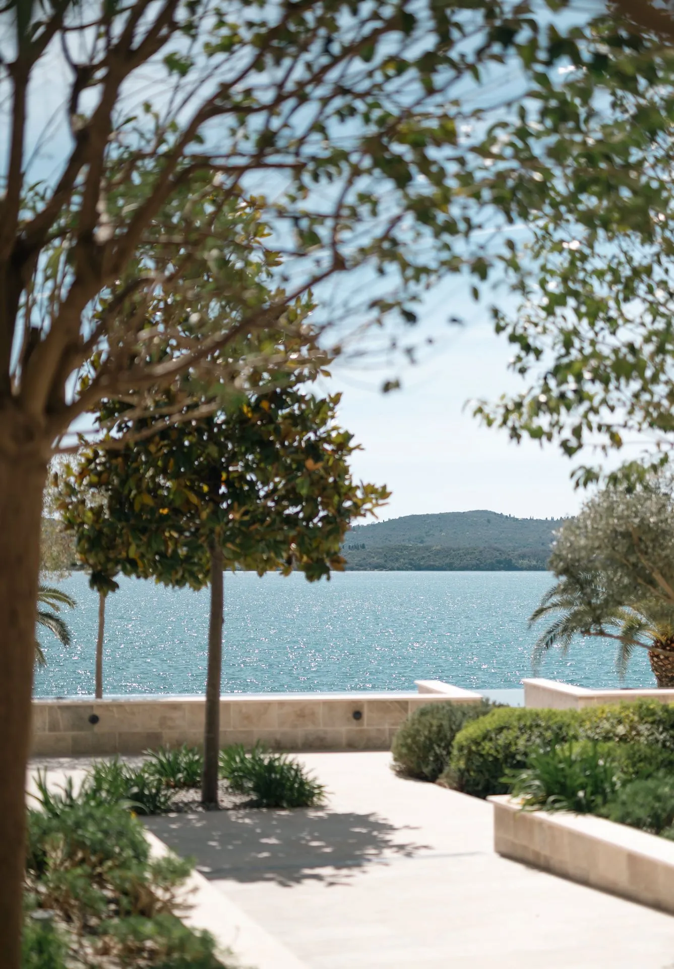 Sunlit walkway framed by trees and lush greenery leads to a sparkling blue sea, with a distant view of a green hill under a clear sky, creating a tranquil and picturesque coastal scene.